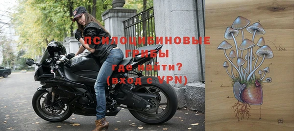 ГАЛЛЮЦИНОГЕННЫЕ ГРИБЫ Баксан